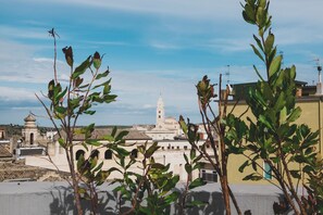 Vista dalla struttura