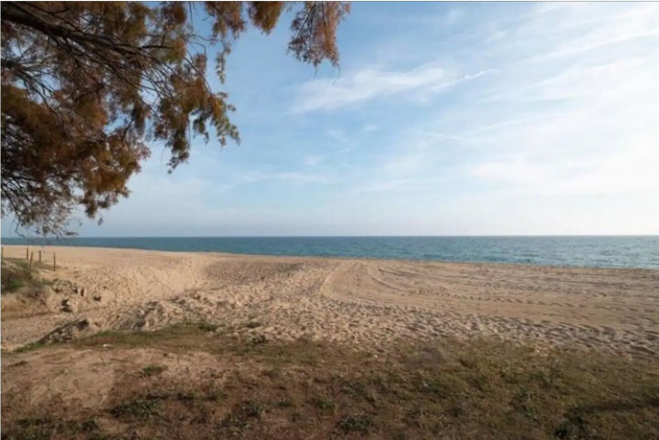 A beach with sand dunes and a clear sky.