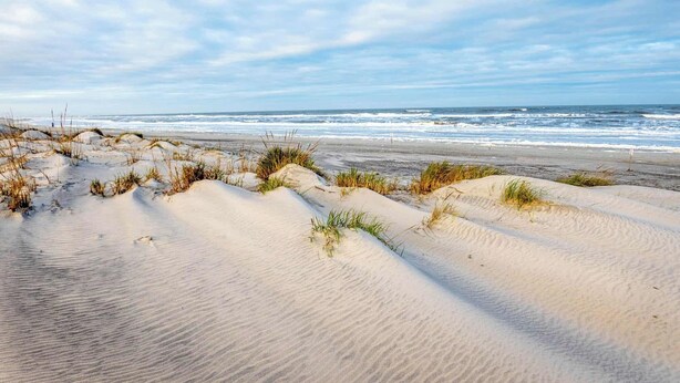 A sandy beach with dunes and sparse vegetation.