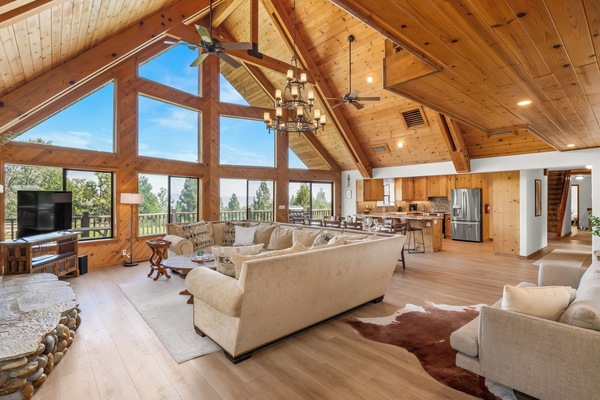 Smart TV, fireplace, books, stereo