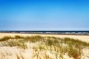 Playa en los alrededores y camastros 