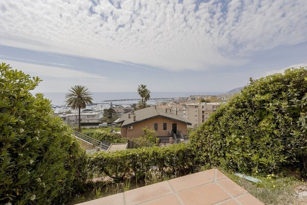 A residential area with a view of the ocean, a palm tree, and a house with a sloped roof.