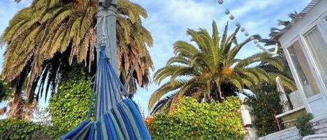 Una hamaca atada a un árbol en un patio trasero, con palmeras y una casa al fondo.