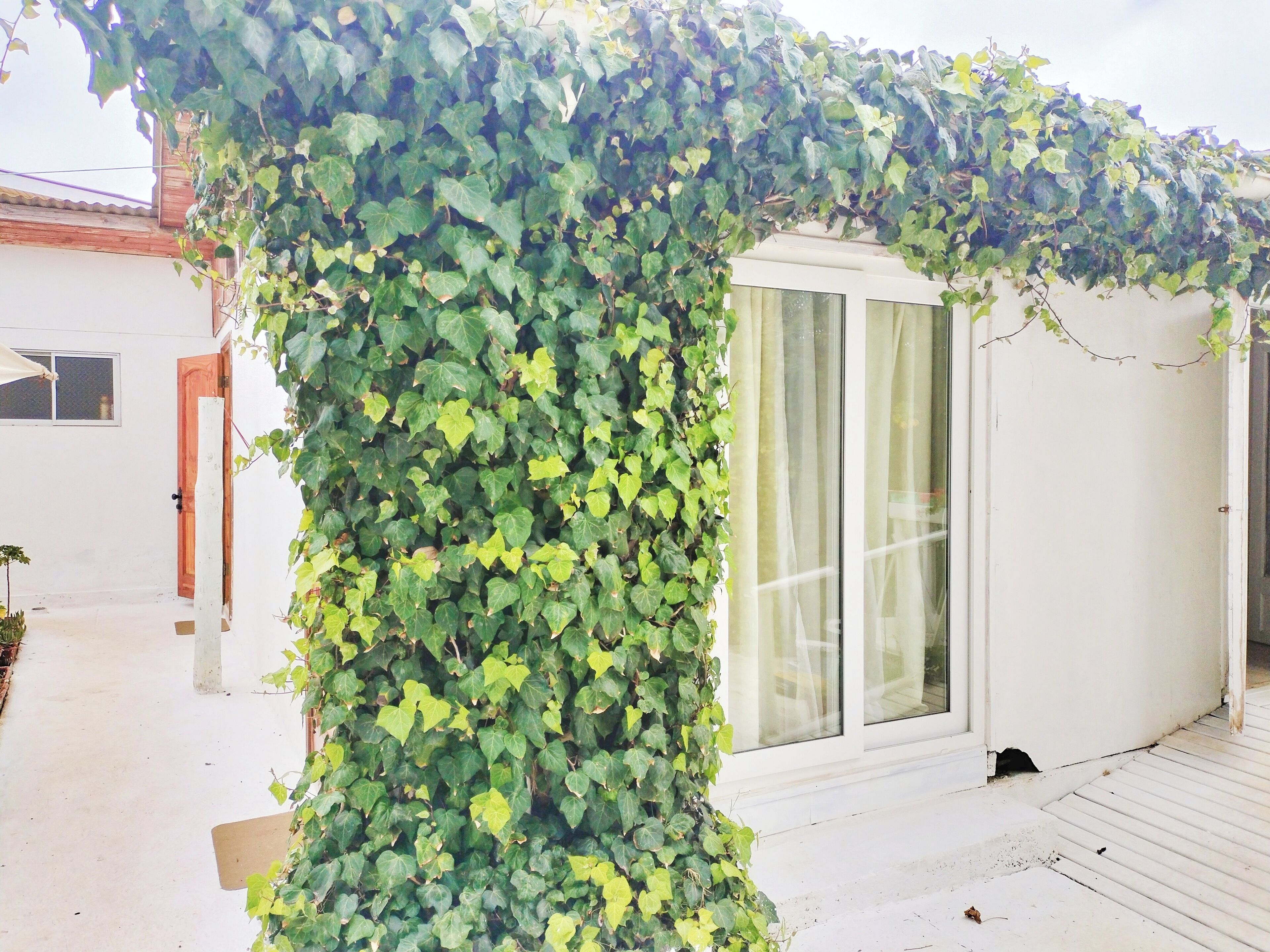 บริเวณภายนอก