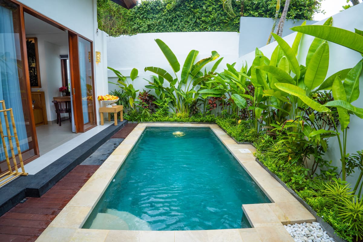 A rectangular swimming pool with a tiled edge, surrounded by lush greenery and a white wall.