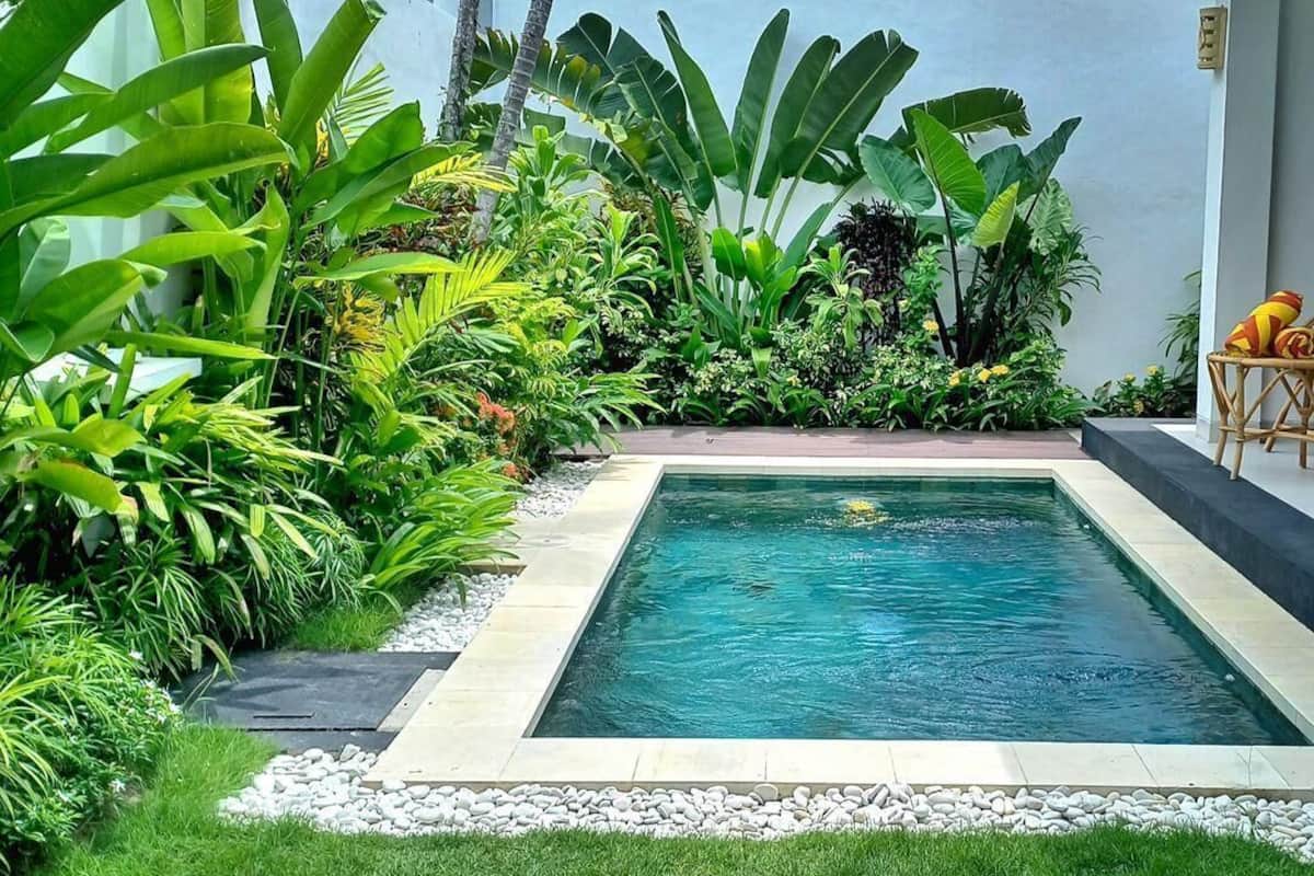 A rectangular pool surrounded by lush greenery and a small seating area with cushions.