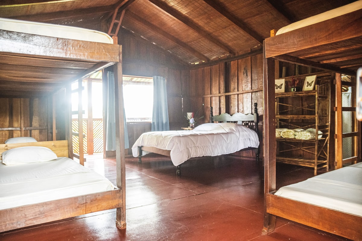 A rustic wooden room with two beds, a window with curtains, and a shelf with framed pictures.
