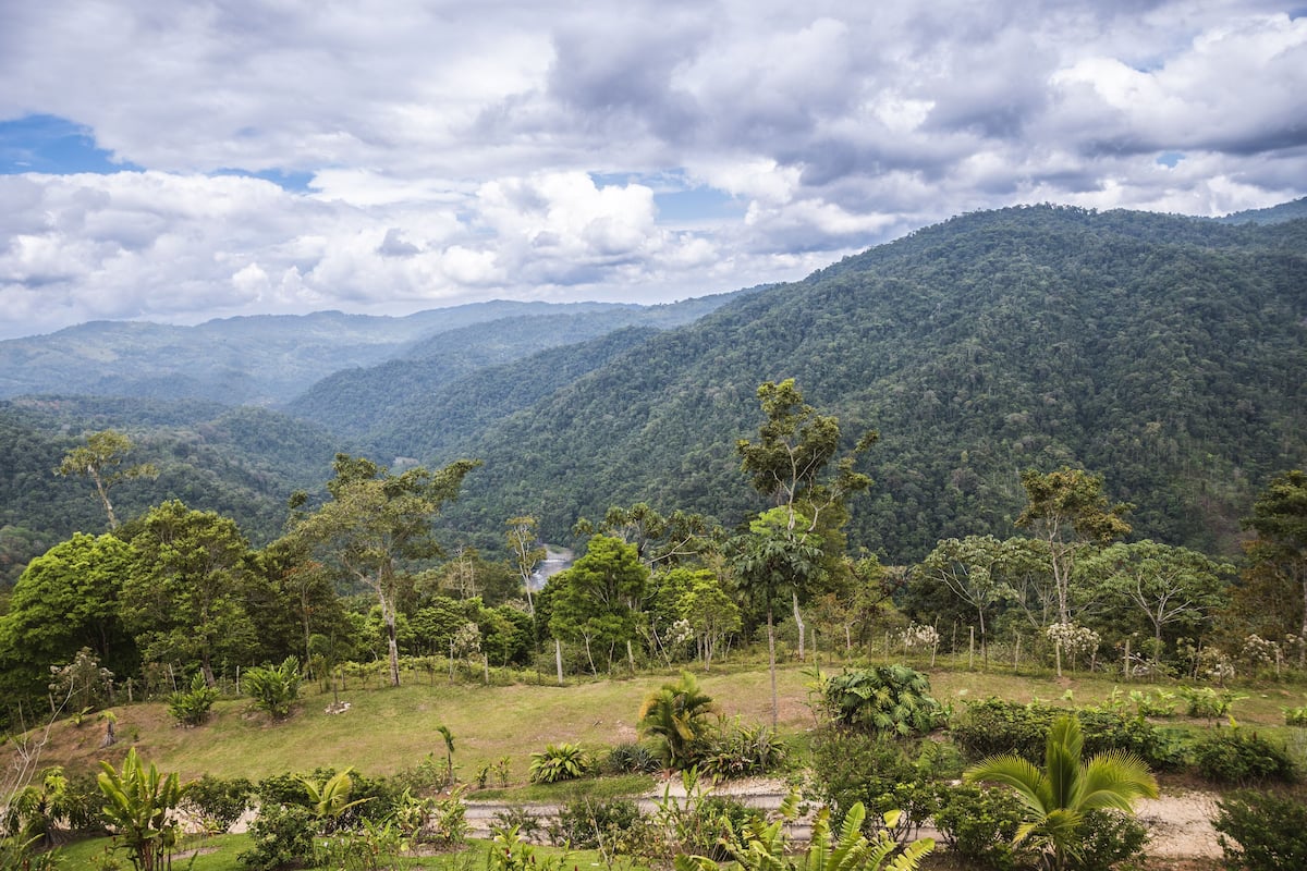 A mountainous landscape with dense forest and a clear sky.