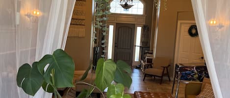 A living room with a large potted plant, a brown leather sofa, and a chandelier.
