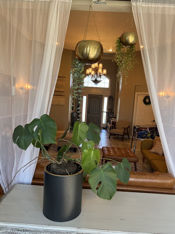A living room with a large potted plant, a brown leather sofa, and a chandelier.