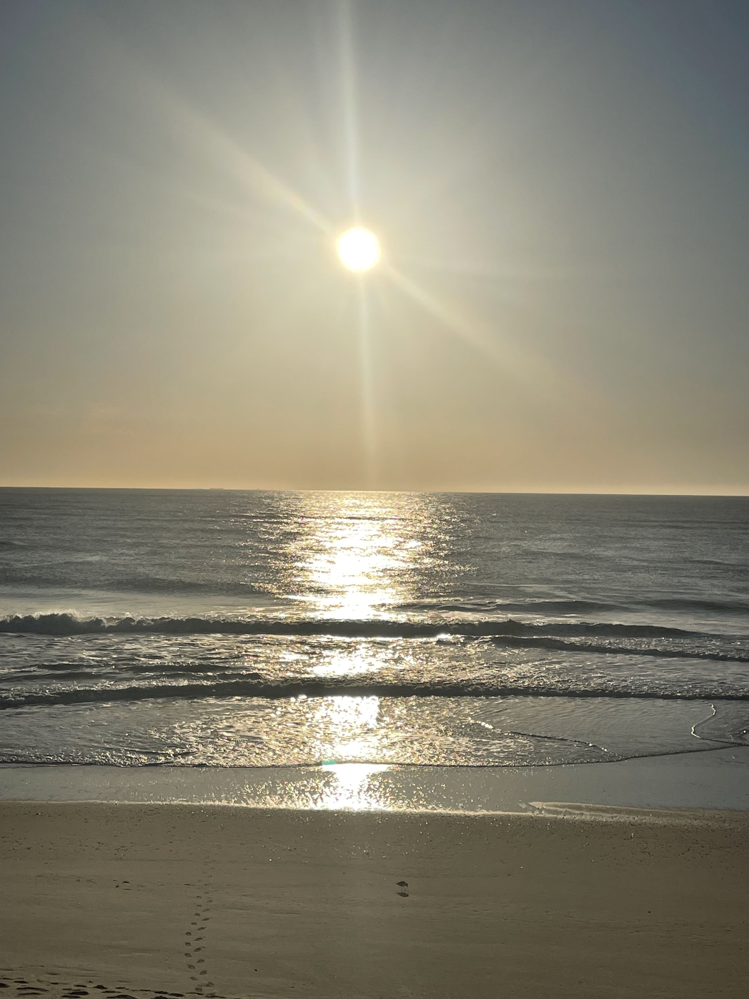 A beach with sunlight reflecting off the water.