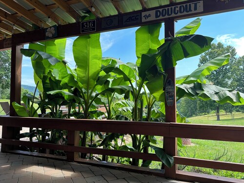 Private 11-Acre Lakefront Escape w/ 2 Cottages, Dock & Games