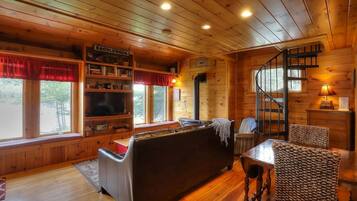 電視、壁爐、DVD 播放機