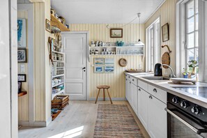 Fridge, oven, dishwasher, electric kettle