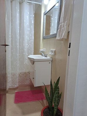 Secadora de cabello, bidet, toallas, jabón 