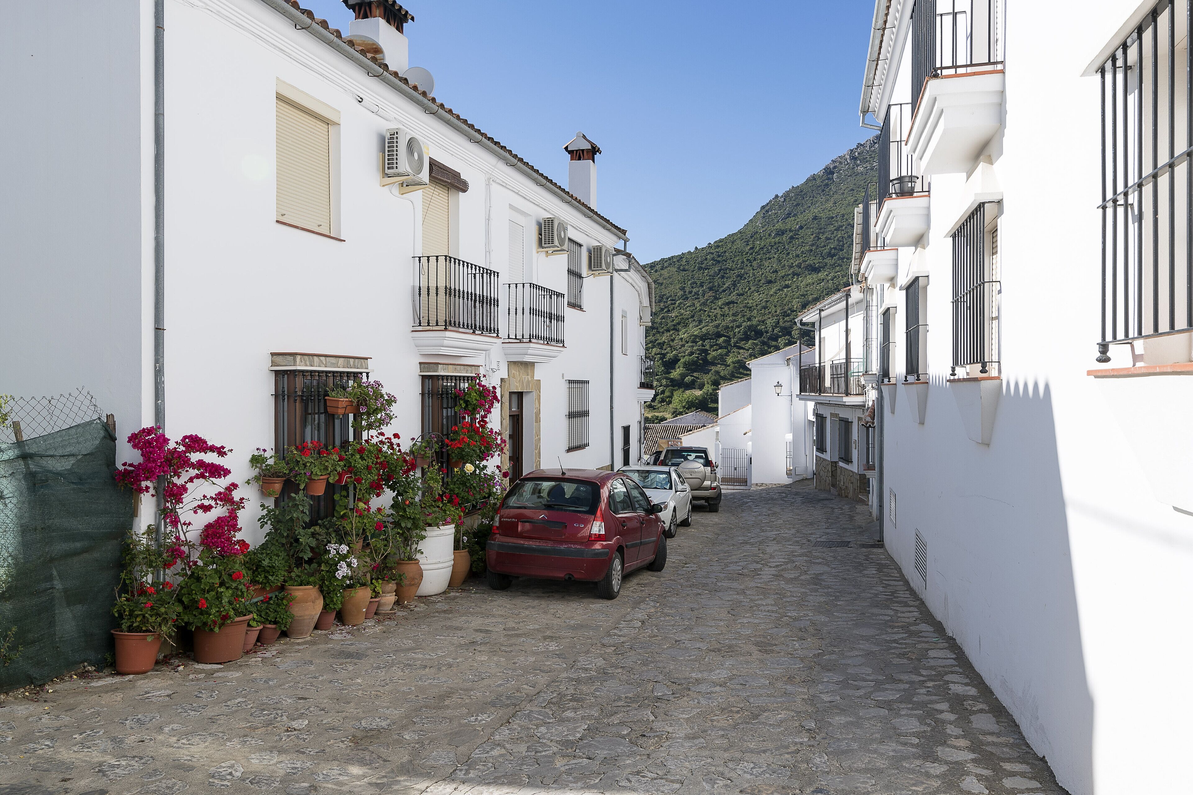 Un carrer empedrat i estret flanquejat per edificis blancs, plantes en testos i cotxes aparcats.