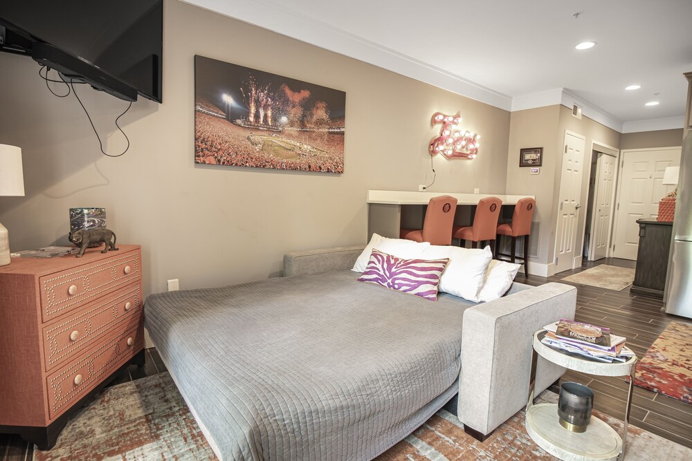 An Updated Studio Apartment Within Walking Distance to Campus! Clemson FeWodirekt