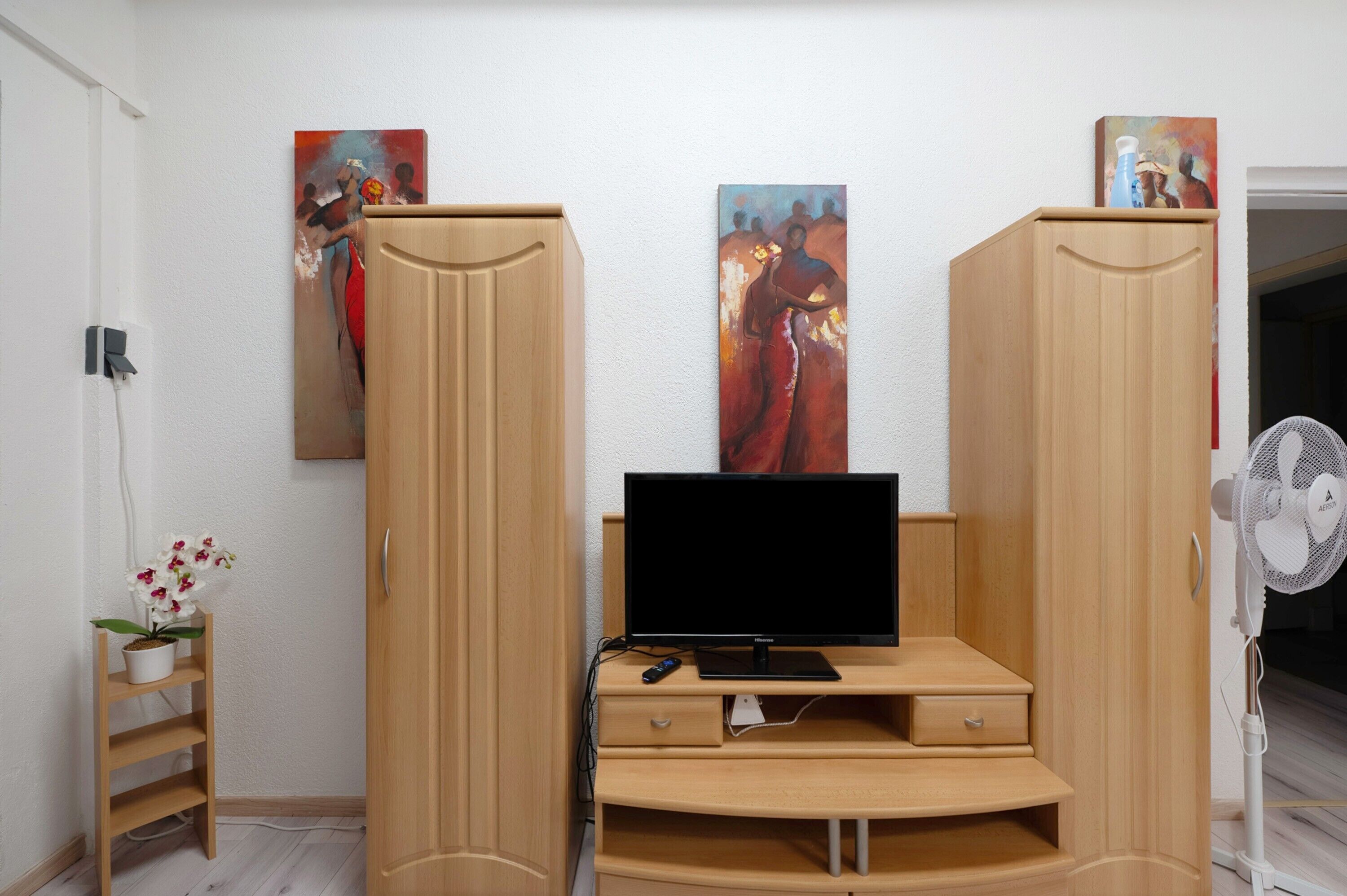 Une pièce avec un téléviseur posé sur un meuble en bois, deux armoires en bois, un ventilateur et une petite plante.