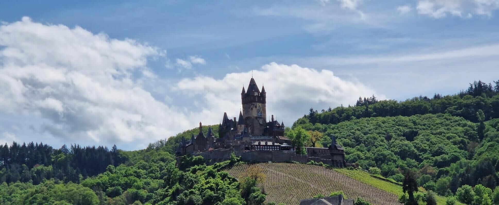 A historic castle on a hill with a tower, surrounded by lush greenery.