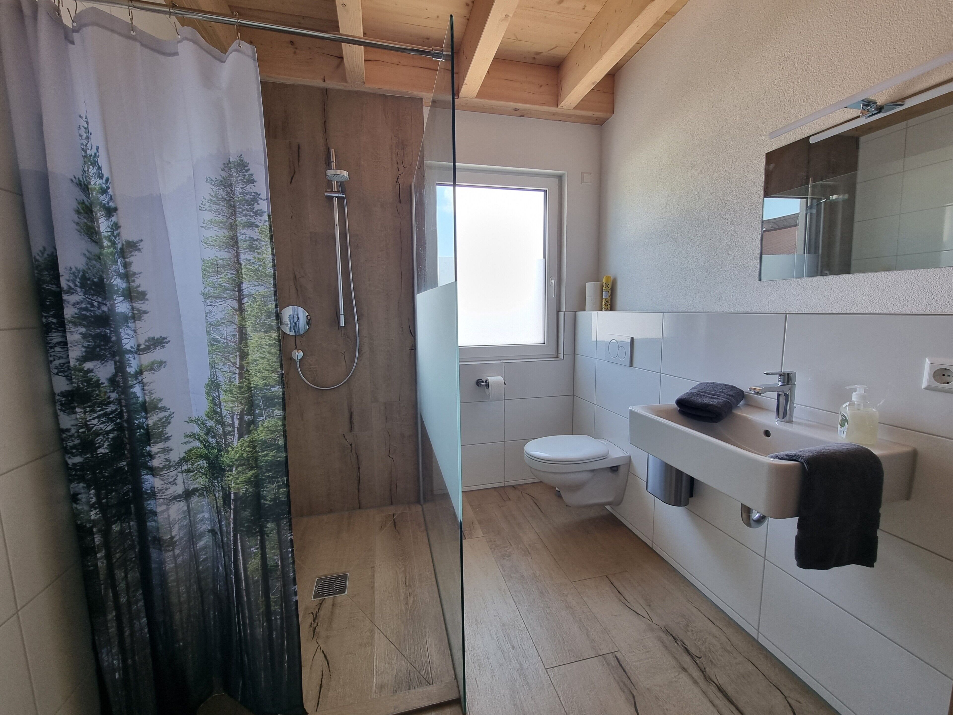 Shower, free toiletries, hair dryer, towels