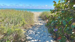 A sandy beach path with dense vegetation on both sides leading to the ocean.