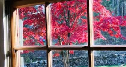 Brookside Zen Cabin