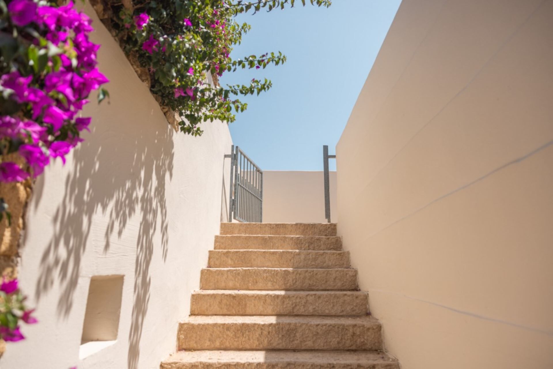 A staircase leading up to a door with a metal railing, surrounded by white walls and purple flowers.