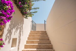 المنطقة المحيطة بالمنشأة