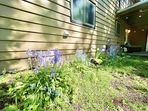 Beautiful 3bd 2ba apartment