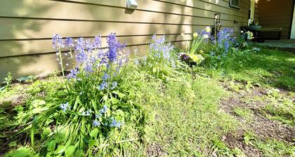 Beautiful 3bd 2ba apartment