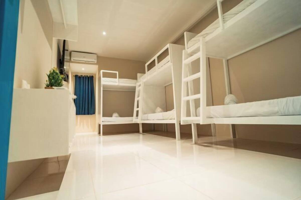 Una habitación con literas, una mesita con una planta y una cortina azul.