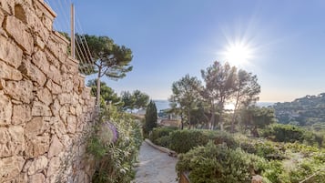 Áreas de la propiedad