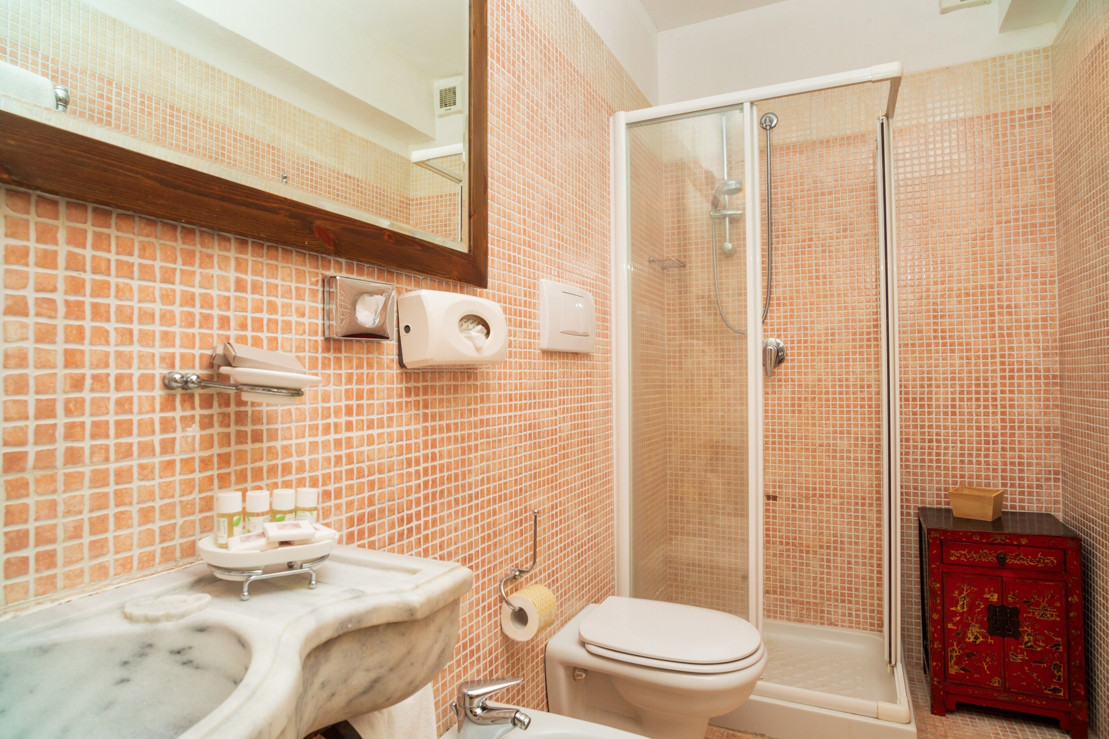 Shower, hair dryer, towels