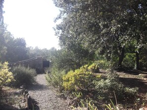 Zona boscosa con un sendero de grava, árboles densos y una estructura de piedra parcialmente cubierta por follaje.