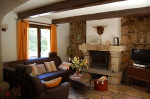 TV, fireplace, DVD player, ping pong - Villa 'La Lezardière Gorges Du Verdon' with Private Pool, Wi-Fi and Air Conditioning (Régusse)