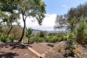 Property grounds - Finca 'La Casita De la Orilla De Peñate' with Sea Views, Private Terrace & Wi-Fi (Santa Brigida)
