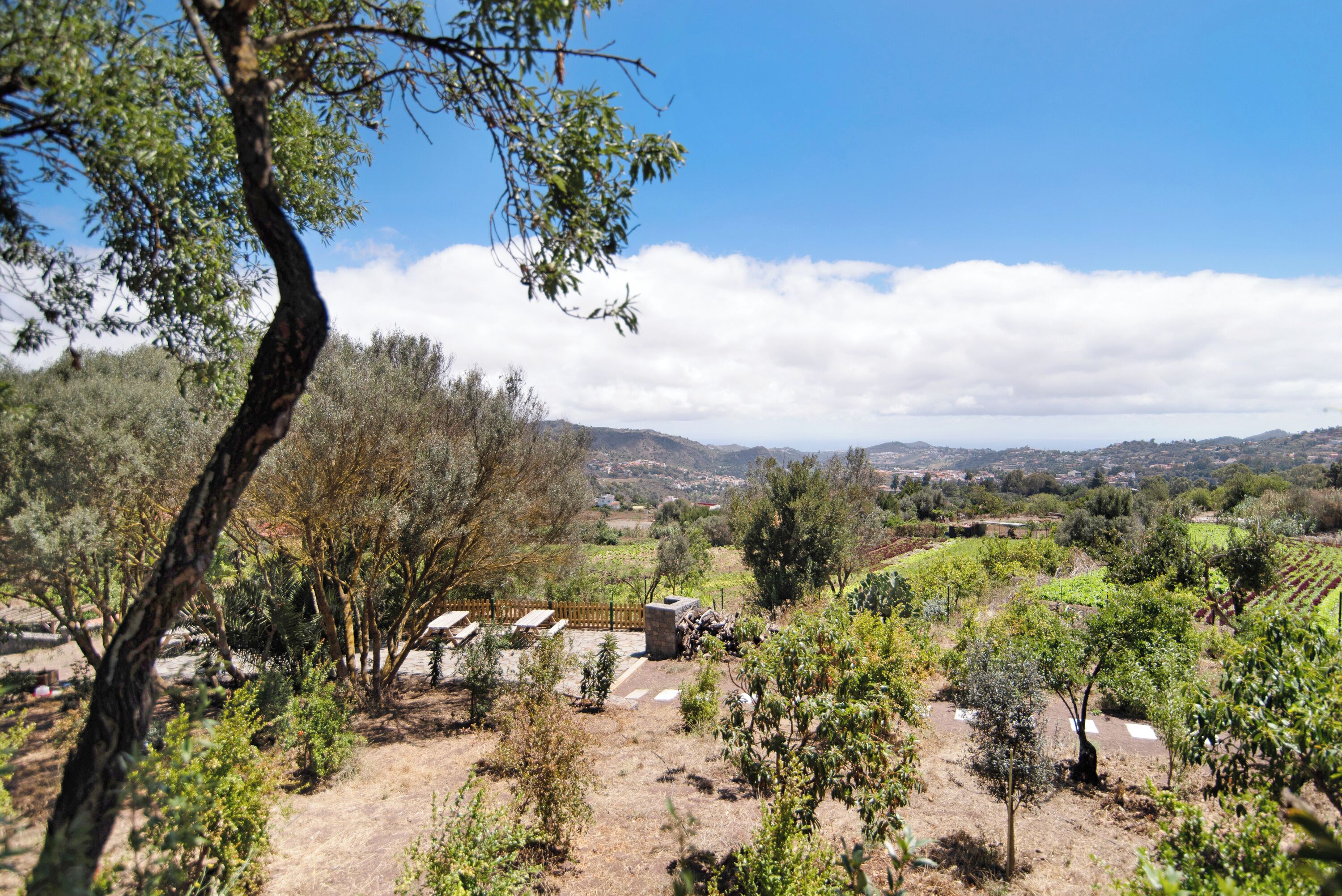 Área da propriedade