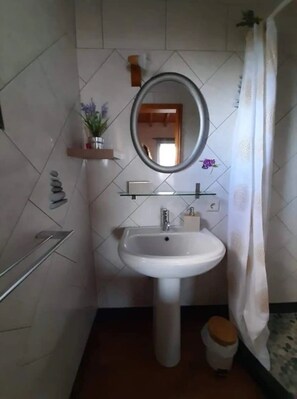Une salle de bain avec un lavabo sur pied, un miroir au-dessus, un porte-serviettes, une petite étagère avec une plante et un rideau de douche.