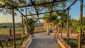 Ein Weinberg mit Kiesweg, einer Holzpergola und Laternen.