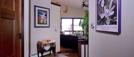 TV, fireplace, offices
