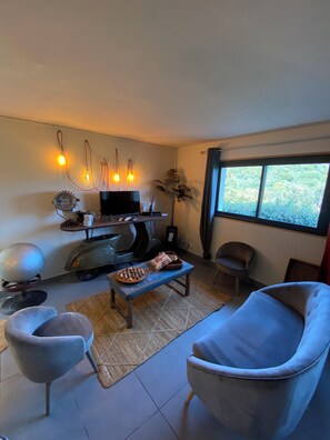 Télévision, lecteur de DVD, baby-foot, livres