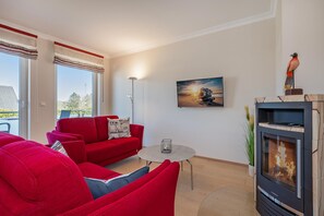 Télévision, cheminée, chaîne hi-fi