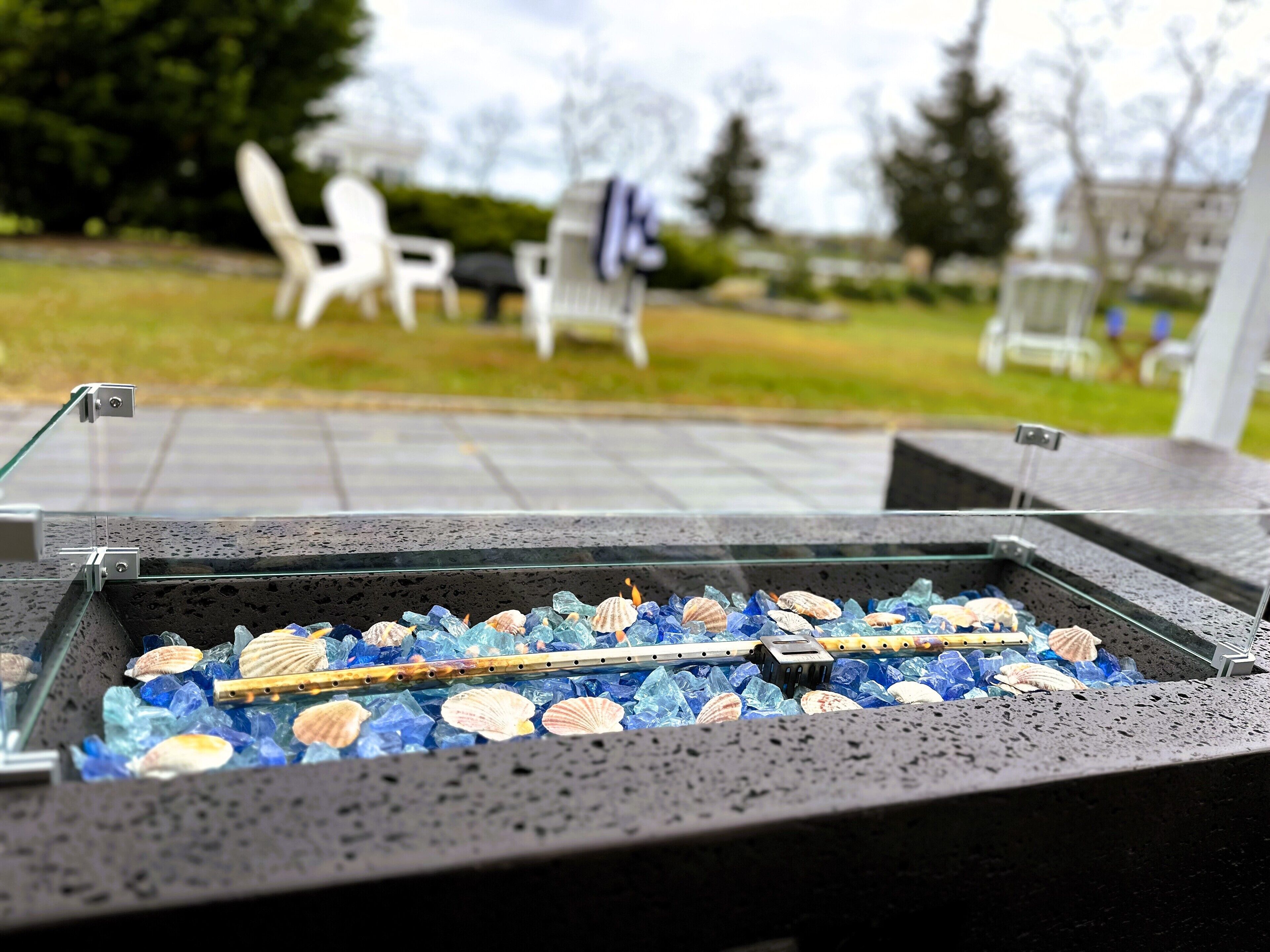 A glass display case with seashells and crystals.
