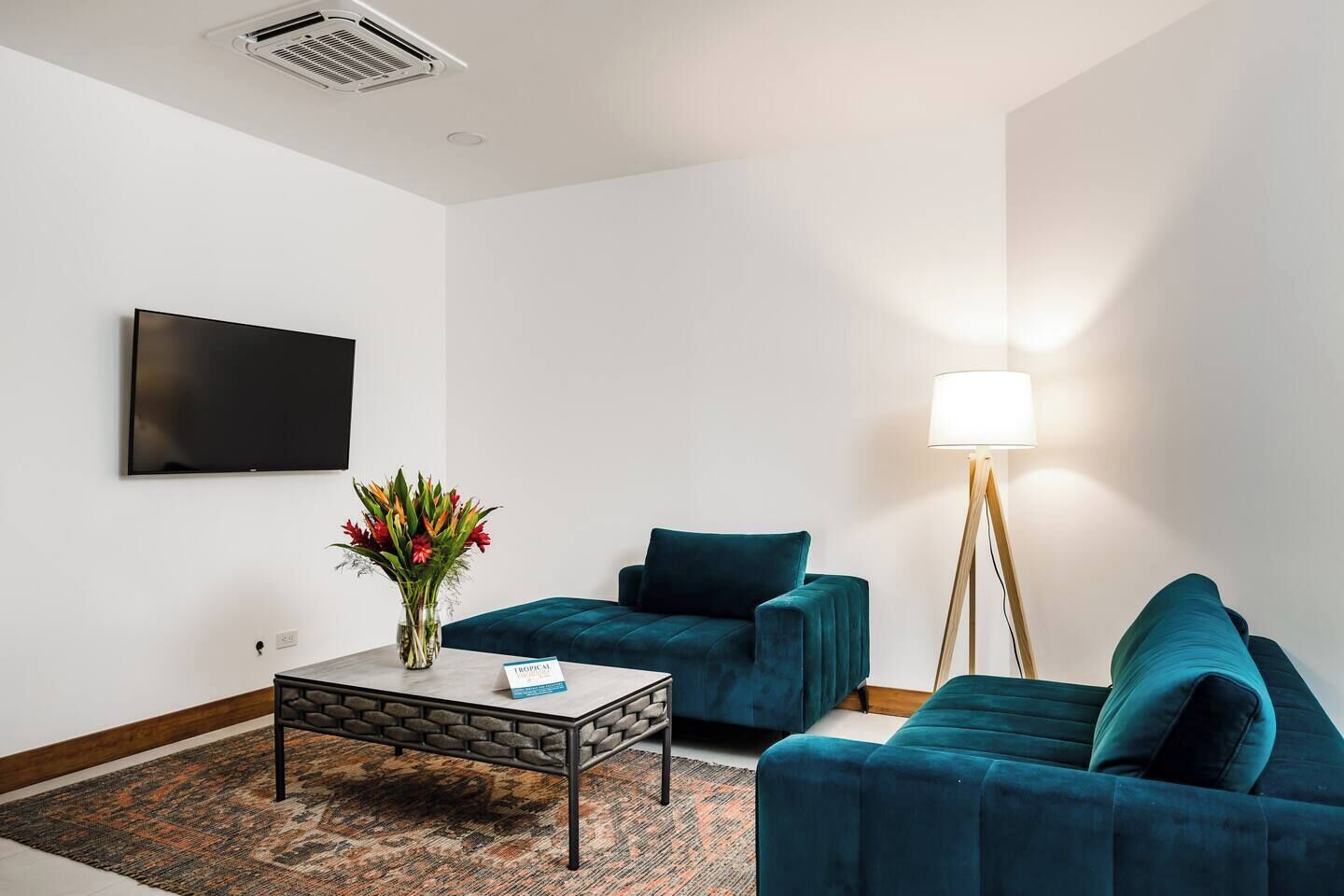A modern living room with two teal sofas, a coffee table, a floor lamp, and a flat-screen TV on the wall.