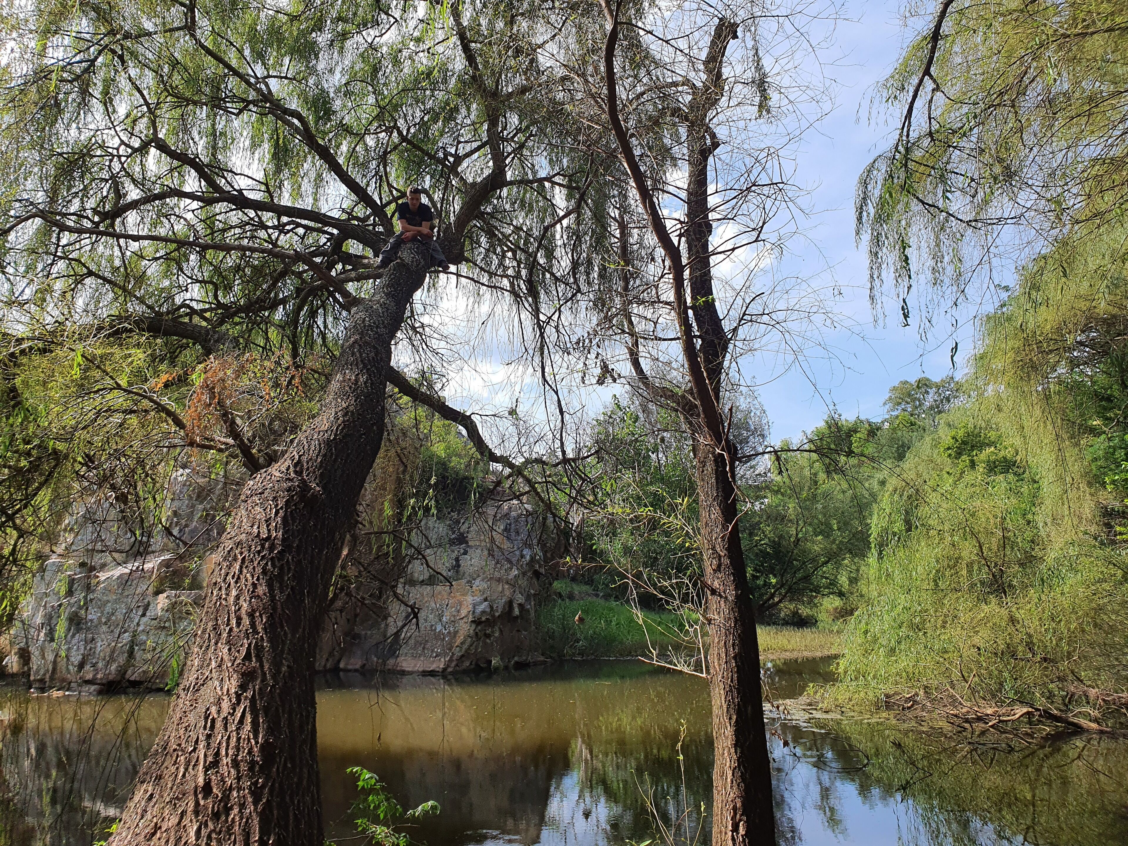 Un paisaje natural con una masa de agua, árboles y un afloramiento rocoso al fondo.