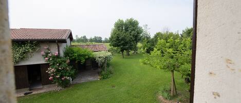 Comfort-lejlighed | Udsigt fra værelset