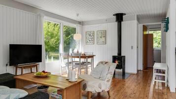 Smart-tv, pejs, dvd-afspiller