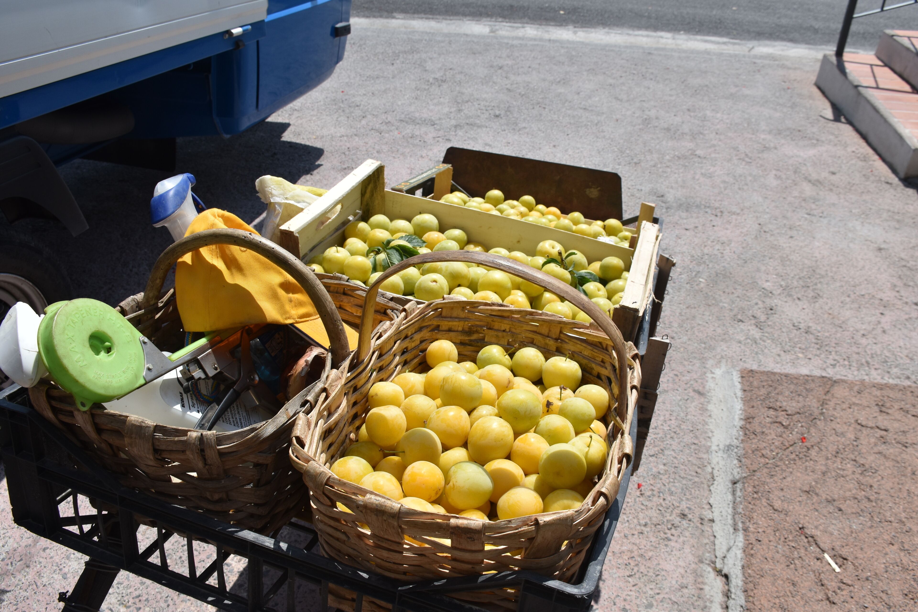 Un carrito con cestas de limones y un recipiente verde.