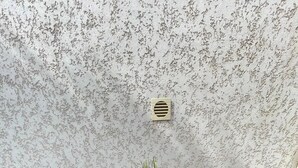 Un rincón con dos sillas de metal, una mesa pequeña con una planta y una pared con textura.