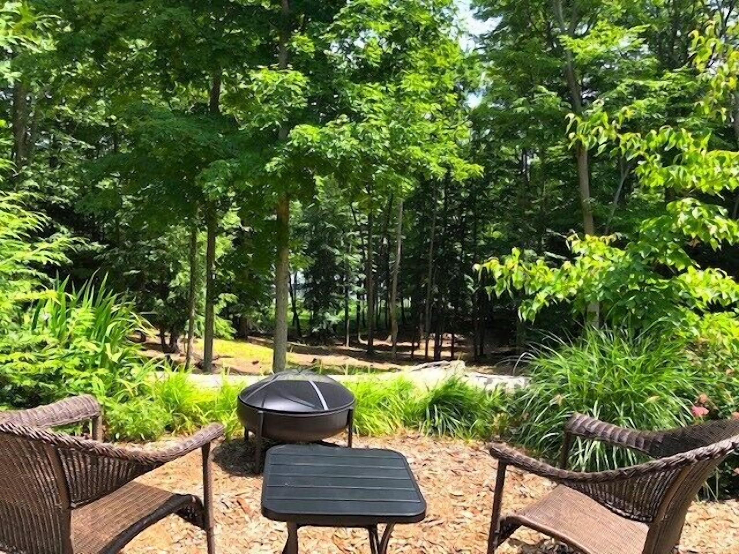 Un espace extérieur aménagé avec des chaises et une table en osier, entouré d’une végétation luxuriante et d’arbres.